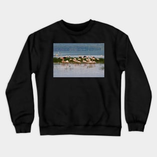 Flamingos at Lake Nakuru Kenya Crewneck Sweatshirt